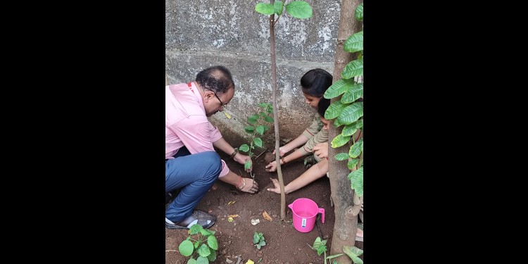 planting